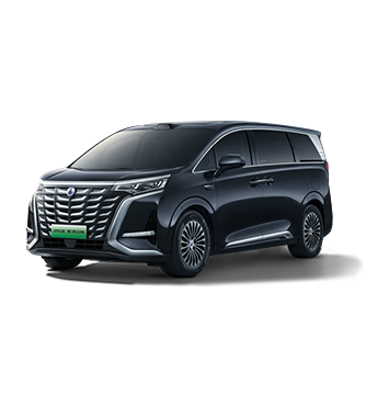 2025款博天堂官方网站D9